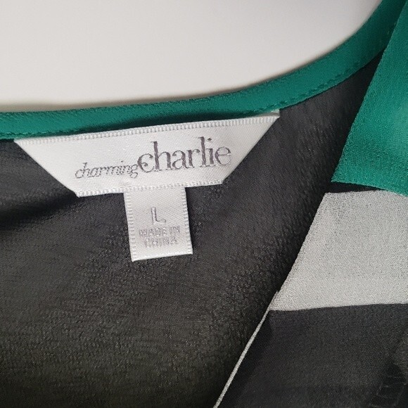 Charming Charlie Striped Sheer Top W Back Buttons - L - Picture 7 of 9